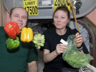 【朗報】宇宙空間で育てた野菜は安全だった！人類移住の夢が一歩前進！！
