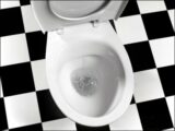人は運動している時間よりもトイレに座っている時間の方が長いことが判明! 現代人の命を奪う「サイレントキラー in 便所」の実態(最新研究)