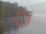 鮮明なネッシーの姿をついに激写!? ネス湖から移動か?