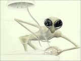 【宇宙人図鑑】カマキリ型の「マンティスエイリアン」が最強すぎる! グレイを操り、クリック音で会話、人間とのハイブリッドも!?