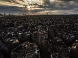 写真家・中筋純が撮り続ける「原発事故」の真実! 時間が止まった街が廃墟化する過程…現在の福島は日本の未来の姿だ!
