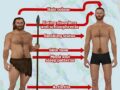 喫煙習慣、イライラ、躁鬱、不健康は全部“ネアンデルタール人の遺伝子”のせいだった！ 現代人に残された混血の痕跡とは？