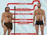 喫煙習慣、イライラ、躁鬱、不健康は全部“ネアンデルタール人の遺伝子”のせいだった! 現代人に残された混血の痕跡とは?(最新研究)
