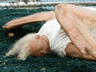 天使がロンドン上空から落ちてきた？不気味な羽と風貌に驚愕！