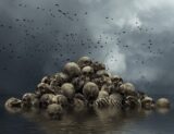 カラスが“葬式”をする謎 ― 人の顔を1年以上記憶する、驚異の頭脳と社会性が判明!