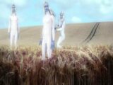 足が湾曲した美しすぎる宇宙人「トールホワイト」がグーグルアースで激写される!  英警察官も隠蔽した彼らの正体とは?