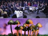 「MDMAとマジックマッシュルームを合法化すべき」ダボス会議でガチ提唱されていた! 日本が報じない衝撃の事実!