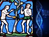 全人類はたった一組の両親(アダムとイブ)の子孫だった!? 「20万年前に90%の生物が同時出現」研究報道に衝撃広がる