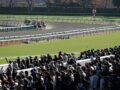 【有馬記念】間違いなく一獲千金!? 武豊オジュウチョウサンは危ない？ 箝口令の“極秘情報”を緊急暴露