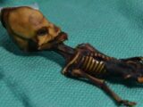 「宇宙人のミイラ」アタカマエイリアンのDNA鑑定に“反倫理的”と専門家! まさかの正体も判明か!?