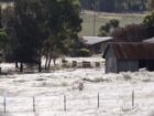 大量のクモが空から降ってきた！ 知られざるクモの生態＝オーストラリア