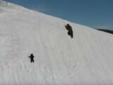 【感動】雪山の急斜面をクマの親子が登る“3分映像”の緊迫感がスゴイ! 自然の脅威・勇気・希望・愛・忍耐の全部入り!