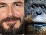 男がヒゲを生やす、ヤラシイ本当の理由が明らかに!(最新研究)