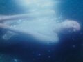 「青」が気になりすぎた写真家が撮った“青のすべて” ― シュタイナー色彩論にヒントを得た熊谷聖司の写真集が美しすぎる!