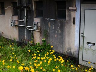 不動産屋に聞いた、事故物件のヤバい話！　「ミイラ、殺人、1千万…」あなたの家は大丈夫？