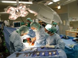 人類の命の“恩人”はブタ!? ブタから人間への「異種移植」は実現するのか