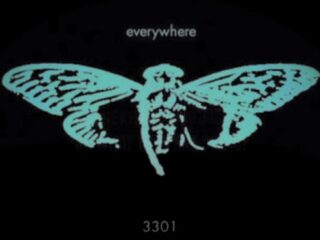 突如ネットに現れた謎の暗号パズル「Cicada 3301」…囁かれる「CIAエージェント採用プログラム」説