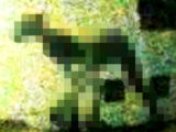 半人半獣の超巨大UMA「犬人間」が地元紙で激写される! ピットブルさえ噛み殺す凶暴性…チュパカブラか?=アルゼンチン
