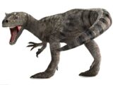 恐竜の中身 ― 化石が物語る、驚異の自然治癒力が明らかに