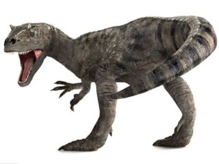 恐竜の中身 ― 化石が物語る、驚異の自然治癒力が明らかに