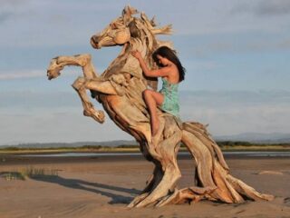 木片を組み合わせて命を吹き込む男！　リアルで超個性的な流木アート!!