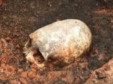 エイリアンの頭蓋骨か、部族の奇習か!?  長くて尖った頭蓋骨がロシアの遺跡で発見される!