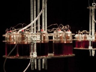 血の音を使った音楽が凄い！ ロシア人アーティストが自らの血液4.5リットルで制作