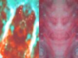 【衝撃】科学者が「異次元の存在」を撮影できる装置を遂に開発! 悪魔、鬼、エイリアン… パラレルワールドの写真1000枚激撮!