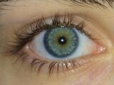 他者と10分間見つめ合うと幻覚体験・体外離脱することが判明! メカニズム不明の「アイコンタクト・パワー」