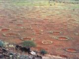 オーストラリアの砂漠で“妖精の輪”が大量出現! 新型ミステリーサークルか?