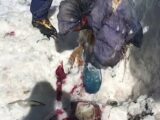 【閲覧注意】31年前に雪山で遭難した女性の「氷漬けミイラ」が発見される! まるで“蝋人形”、回収される日を待ち続けて…