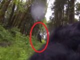 勇敢な犬が巨大ビッグフットと接近遭遇、GoProで激写することに成功=米オレゴン州