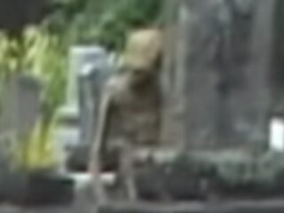 【衝撃動画】墓地に佇む淋しげな宇宙人？やっぱり緑色の肌だった！