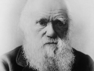 人気絶頂のヒゲ男子、しかし絶滅の時は近い!?