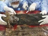 シベリアで子どもの“氷漬けミイラ”が発見される! 内臓がバッチリ残存、解剖結果に専門家驚愕!