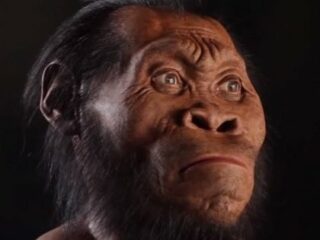 新種の人類か？ 世紀の大発見「ホモ・ナレディ」の骨に議論沸騰中！