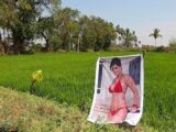 【衝撃】インドの畑に“セクシー女優のポスター”を置いたら収穫激増!「豊作はおっぱいパワーのおかげ」
