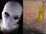 【緊急】NASA火星探査機「インサイト」が“謎の人影”を早速激写! 宇宙人か、人間か…全世界騒然!