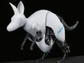 永遠に跳ね続けるロボットカンガルー！ 完璧に自然を模した動きに驚愕!!