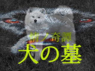 犬のお墓にまつわる本当にあった超怖い話 ― 四国「犬神信仰」の祖母が遺した“死の祟り”（川奈まり子）