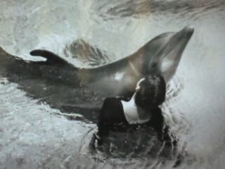 【衝撃】イルカとの性的関係を赤裸々に告白する人々!! 「足や手に体をこすりつけて……」