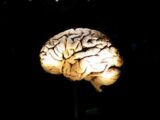 明晰夢で健康になる!? 自分の意志で夢の内容をコントロールできる装置が開発される(ドイツ研究)