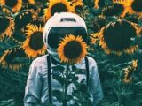 【悲報】月にも花粉症が存在か! 宇宙飛行士が次々と“涙目・くしゃみ”…激ヤバ「月レゴリス花粉」か!?