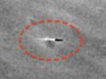 アポロ11号が月面で発射中の「ミサイル型UFO」を激写していた？  47年の時を経て判明、研究家騒然