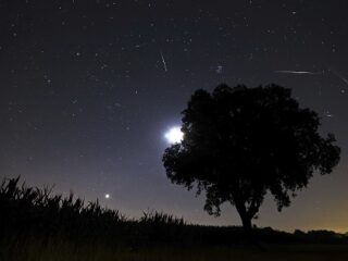 「こと座流星群」前後に気をつけろ!? 占星術研究家が語る、影響と対策！