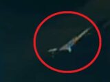 NASAの中継映像に“巨大宇宙鳥”が出現「これは本物」!  しかし、即座に放送中断…疑念深まる!