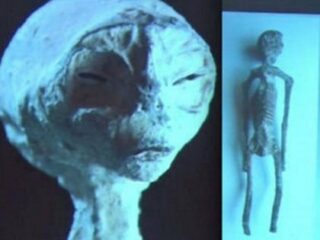 ナスカで発掘された「3本指の宇宙人ミイラ」が人類よりも爬虫類に近いことが濃厚！ 古代人と共生していたレプティリアンの可能性