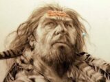 【ガチ】「ネアンデルタール人の蘇生」をハーバード大が計画! 代理母に産ませて誕生、現代人と対面へ!