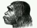 【骨は語る】 ネアンデルタール人は我が子を切断して食べていた!?