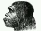【骨は語る】 ネアンデルタール人は我が子を切断して食べていた!?